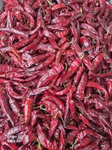 팜모닝 기타작물·영농일지 게시글 이미지