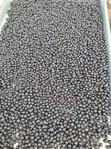 팜모닝 기타작물·영농일지 게시글 이미지