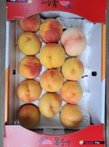 팜모닝 복숭아·영농일지 게시글 이미지