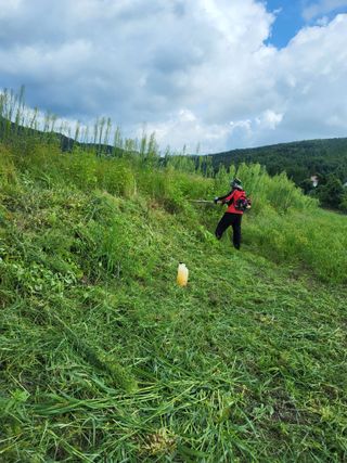 반봉현님의 기타작물 · 영농일지 작성글 사진