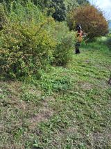 팜모닝 매실·영농일지 게시글 이미지