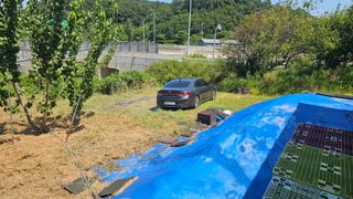 장정규님의 복숭아 · 영농일지 작성글 사진