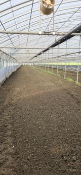 팜모닝 오이·영농일지 게시글 이미지