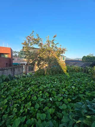 별장의텃밭농부님의 기타작물 · 영농일지 작성글 사진