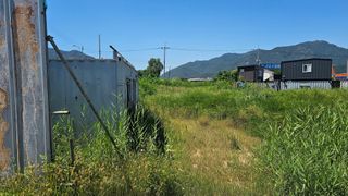 장정규님의 복숭아 · 영농일지 작성글 사진