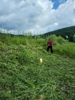 반봉현님의 기타작물 · 영농일지 작성글 사진
