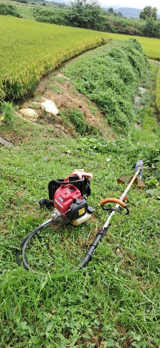 이복길님의 벼 · 영농일지 작성글 사진