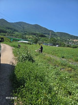팜모닝회원 바이크농원님의 감자 · 영농일지 작성글 사진