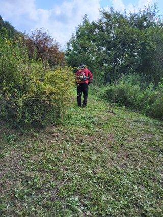 반봉현님의 매실 · 영농일지 작성글 사진