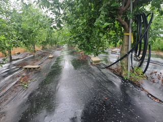 해찬들농원님의 기타작물 · 영농일지 작성글 사진