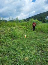 팜모닝 기타작물·영농일지 게시글 이미지