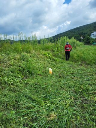 반봉현님의 기타작물 · 영농일지 작성글 사진