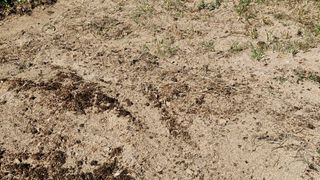 김병준님의 기타작물 · 영농일지 작성글 사진