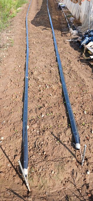 김화연님의 기타작물 · 영농일지 작성글 사진