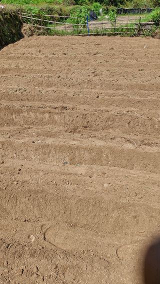 김병준님의 기타작물 · 영농일지 작성글 사진