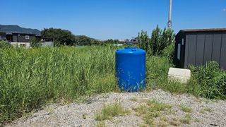 장정규님의 복숭아 · 영농일지 작성글 사진