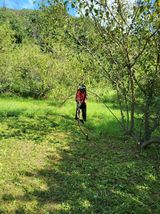 팜모닝 매실·영농일지 게시글 이미지