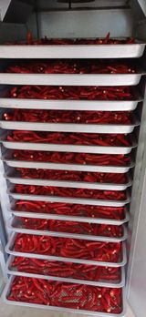 팜모닝 기타작물·영농일지 게시글 이미지