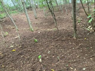 youl님의 기타작물 · 영농일지 작성글 사진