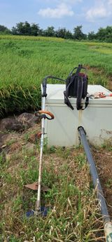 팜모닝 벼·영농일지 게시글 이미지