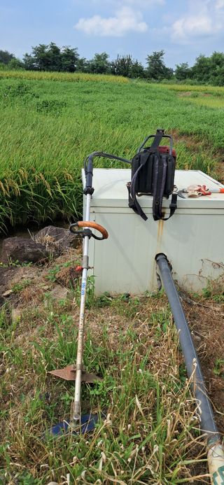 이복길님의 벼 · 영농일지 작성글 사진