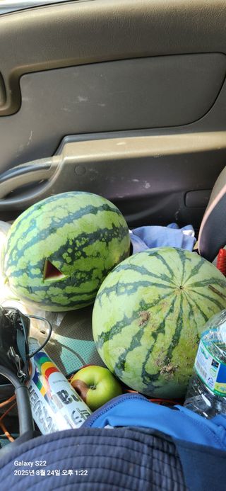 이응철님의 기타작물 · 영농일지 작성글 사진