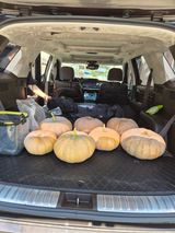 팜모닝 기타작물·영농일지 게시글 이미지