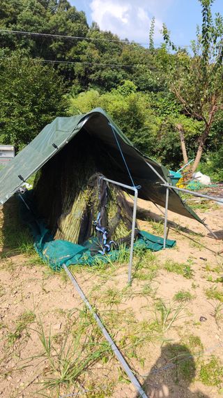 사과18413님의 기타작물 · 영농일지 작성글 사진