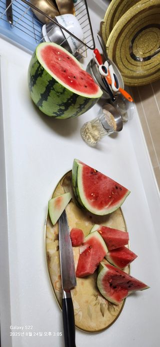 이응철님의 기타작물 · 영농일지 작성글 사진