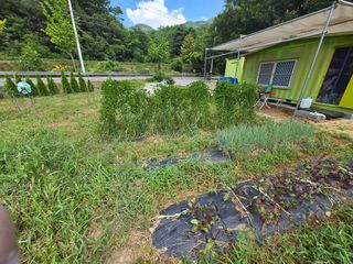 강호지인님의 기타작물 · 영농일지 작성글 사진