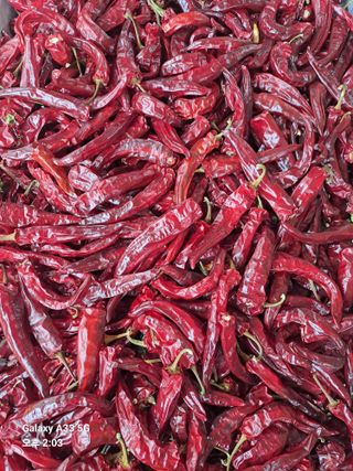 이식현님의 기타작물 · 영농일지 작성글 사진