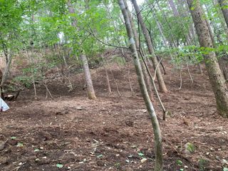 youl님의 기타작물 · 영농일지 작성글 사진