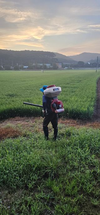 김도원님의 벼 · 영농일지 작성글 사진