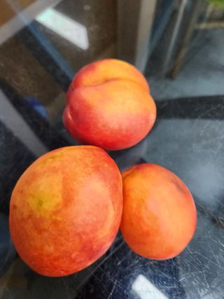 김영옥님의 기타작물 · 영농일지 작성글 사진