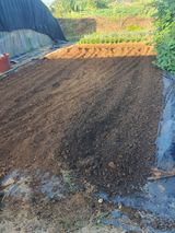 팜모닝 배추·영농일지 게시글 이미지