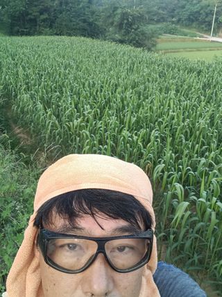 꽃봉산님의 기타작물 · 영농일지 작성글 사진