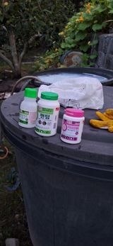 팜모닝 감·영농일지 게시글 이미지