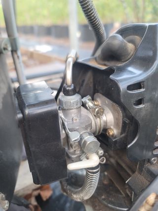 박치문님의 기타작물 · 영농일지 작성글 사진