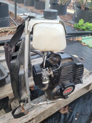 박치문님의 기타작물 · 영농일지 작성글 사진