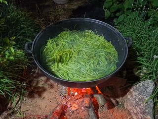 체리123님의 고구마 · 영농일지 작성글 사진