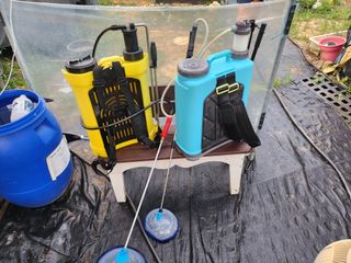 김진영님님의 옥수수 · 영농일지 작성글 사진