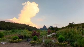 이상철님의 기타작물 · 영농일지 작성글 사진