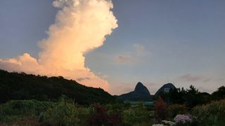 이상철님의 기타작물 · 영농일지 작성글 사진