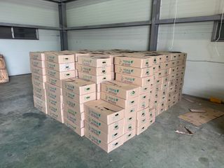 오작교농장님의 배추 · 영농일지 작성글 사진