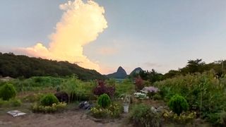 이상철님의 기타작물 · 영농일지 작성글 사진