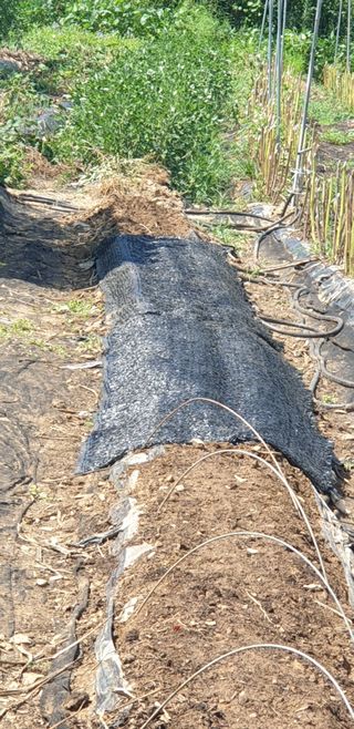 정천복님의 기타작물 · 영농일지 작성글 사진