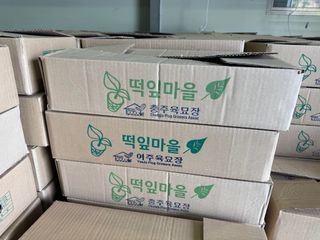 오작교농장님의 배추 · 영농일지 작성글 사진