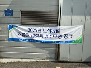 오작교농장님의 배추 · 영농일지 작성글 사진