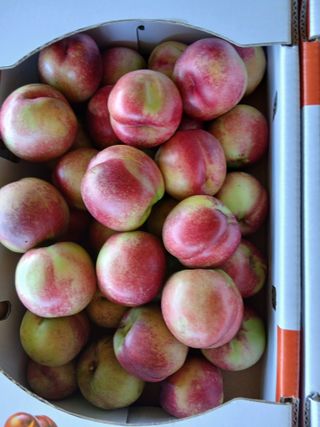 유종수님의 기타작물 · 영농일지 작성글 사진