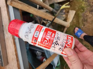 김진영님님의 옥수수 · 영농일지 작성글 사진